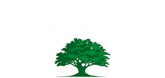 Top Tree Service Companies in Fayetteville, AR